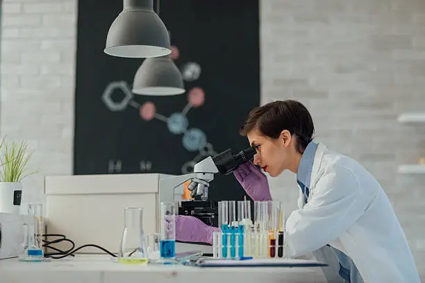 Female researcher at her workplace. She is standing in her laboratory and looking into a microscope. On her desk beside her are test tubes.