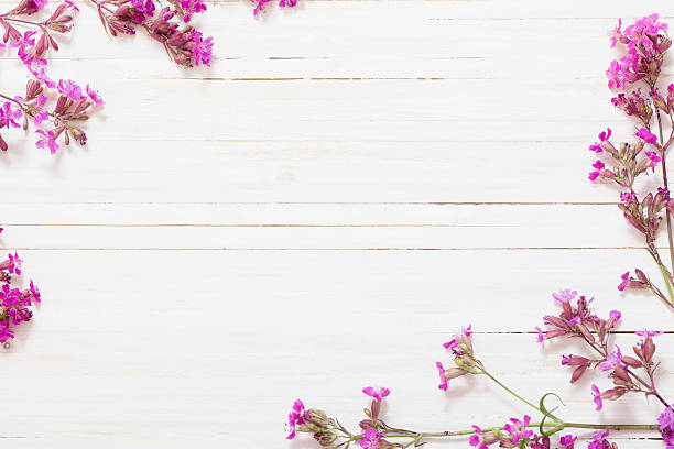 istock pink flowers on white wooden background 624495890