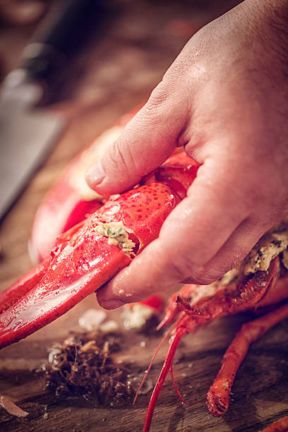 istock Delicious Fresh Cooked and Grilled Lobster 624497476
