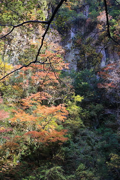 Autumn of Akame 48 waterfall valley Autumn of Akame 48 waterfall valley akame shijyuhachi stock pictures, royalty-free photos & images