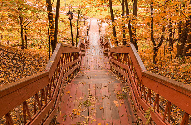 istock Colorful foliage in the autumn park 624511514