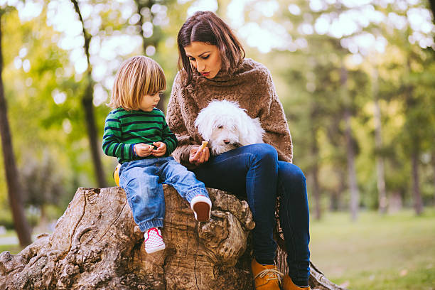 istock Young Mom and Adorable Kid Cuddling Little Canine 624511932