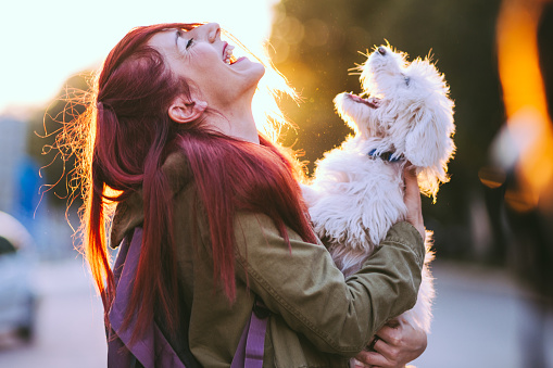 Atractiva chica pelirroja y cachorro blanco sonriendo juntos photo