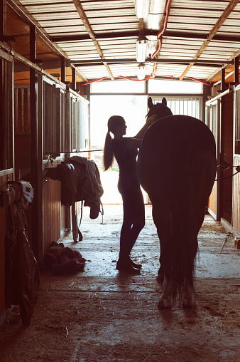 Silhouette of young horsewomen owner harnessing the stallion in stable. Vertical image with vintage filter.