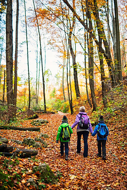 istock Mother hiking with sons in autumn forest 624533676