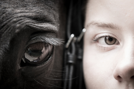 Girl's and Horse's Eyes