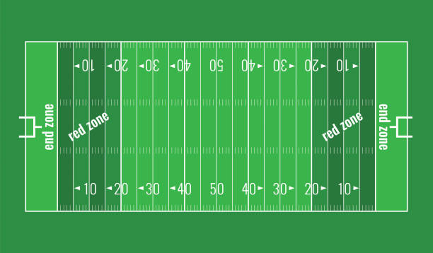 Vector Grass Textured American Football Field. American football background. Vector grass textured American football field. Lines marked along ends and sides are end lines and sidelines, and goal lines are marked 10 yards inward from each end line hashish stock illustrations