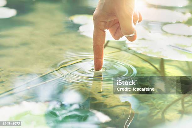 Person Touches The Water With His Hand Stock Photo - Download Image Now - Water, Nature, Connection