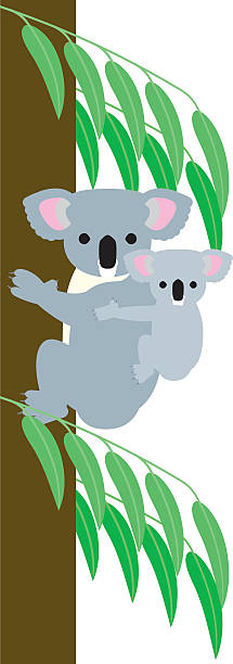 ilustrações de stock, clip art, desenhos animados e ícones de koala parent and child - koala young animal australia mother