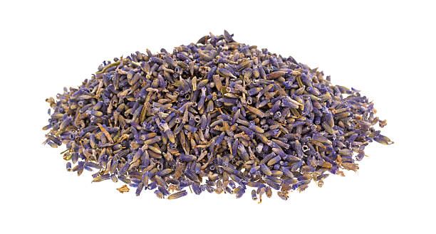 istock Lavender flower petals on a white background 624566924