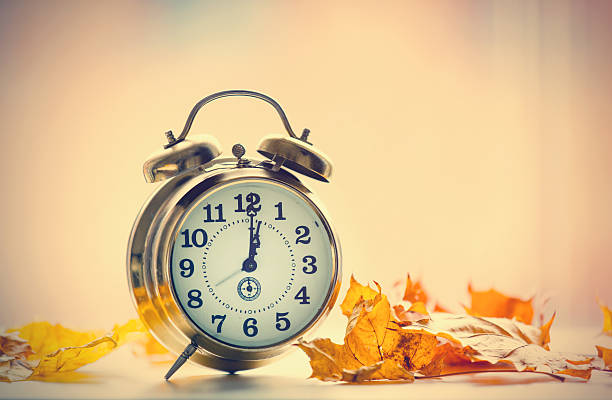 istock Vintage alarm clock with leaves 624568654