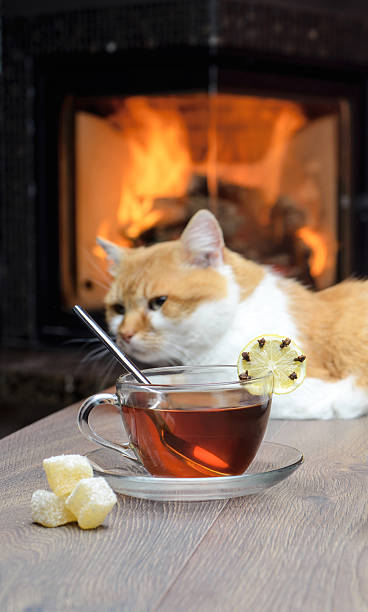 istock cup of tea on table against the backdrop of fire 624618070