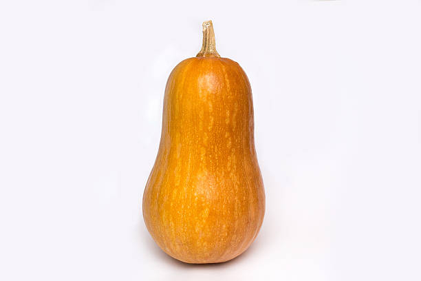 istock Big pumpkin isolated natural color and texture. 624625842