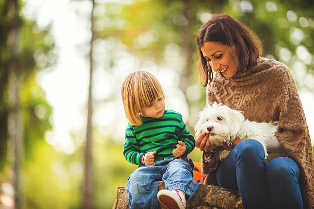 istock Family moments 624627732