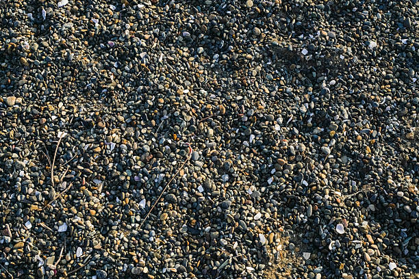 istock Texture of the beach 624629422