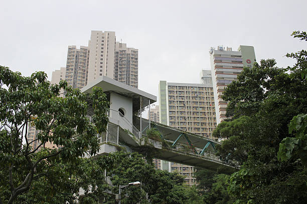 istock city walkway bridge in Sau Mau Ping 624642056