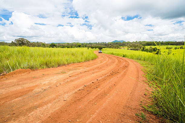 istock meadow savanna landscape 624645866