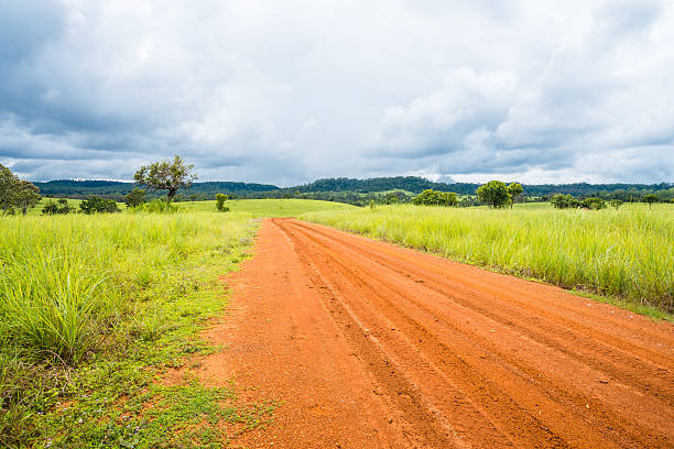 istock meadow savanna landscape 624651250