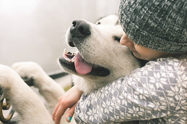 imagen de una niña con su perro, alaskan malamute, al aire libre - people dog winter cute fotografías e imágenes de stock