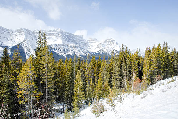 istock Mountain Range of Canadian Rockies in Winter, Alberta, Canada 624652242