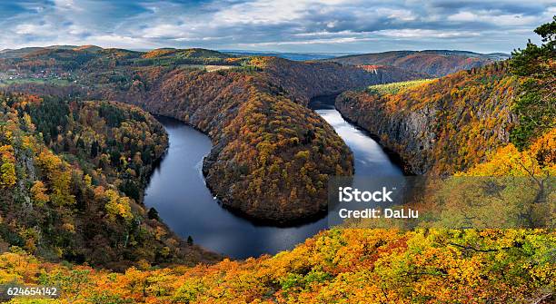 Cañón Del Río Con Agua Oscura Y Bosque Colorido De Otoño Foto de stock y más banco de imágenes de República Checa