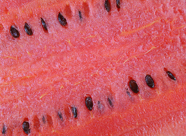 istock Closed up texture of ripe red watermelon with seed, background 624655810