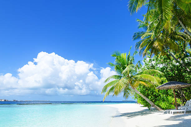 istock Tropical paradise beach of Maldives 624670712