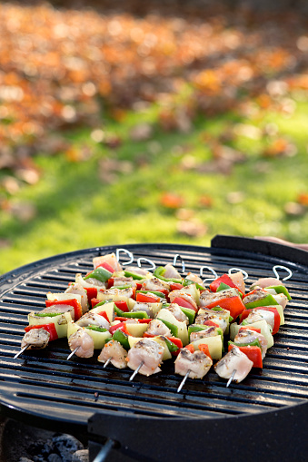 Meat and vegetables on a grill