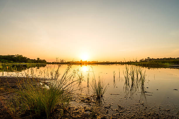 istock sunset on the lake landscape 624674980