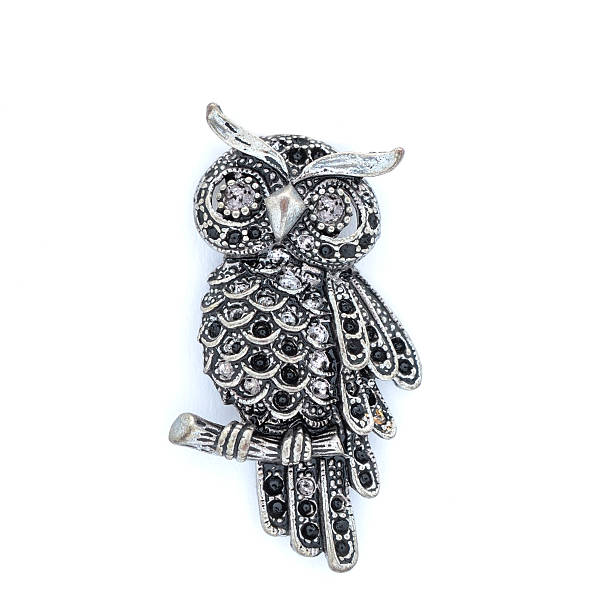 istock owl brooch isolated on white 624676188