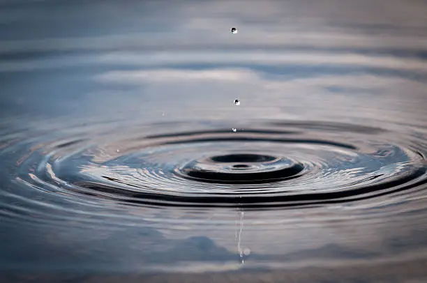 Water droplets falling onto a pond surface at sunset.