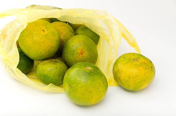 istock green fresh Citrus unshiu isolated on a white background 624677482