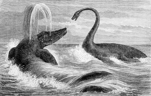 Fight between a Ichthyosaurus and a Plesiosaurus dinosaur  from an 1895 antique book \