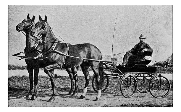 foto antik dotprinted hobi dan olahraga: trotting horse cart - kereta kuda ditarik kuda foto ilustrasi stok