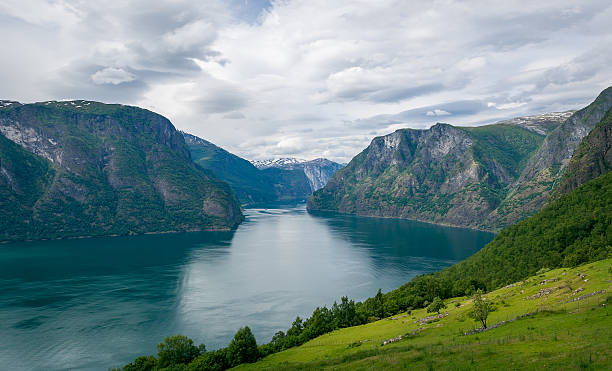 istock Norway fjord field and mountains view from above 624682776