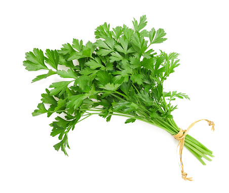 parsley bunch tied with ribbon isolated on white background