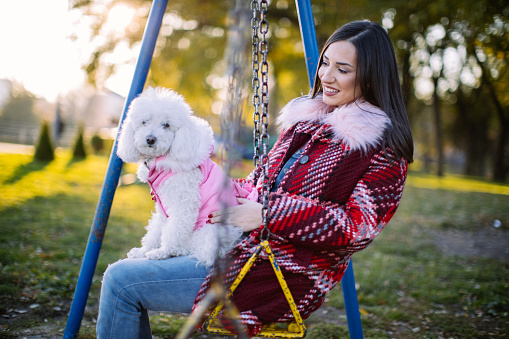 Girl having fun with a dog, swinging on a swing, in the park on a sunny autumn day,