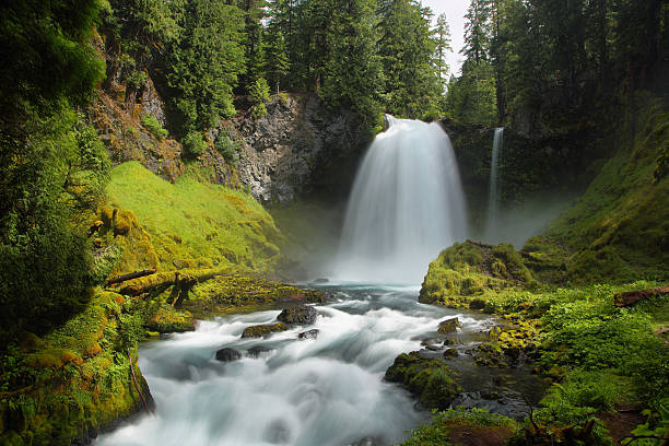 Sahalie Falls, Oregon Sahalie Falls in Mc kenzie pass, Oregon oregon us state photos stock pictures, royalty-free photos & images