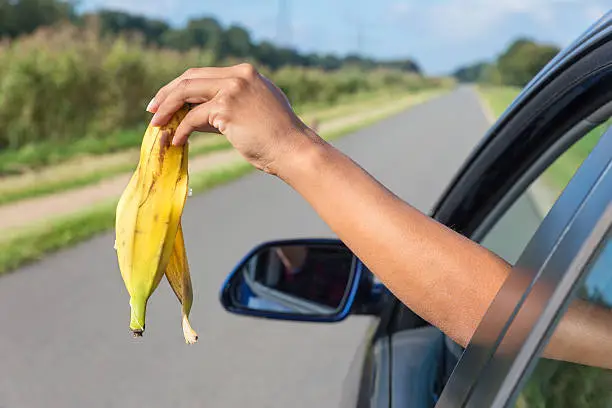 Female arm throwing  fruit waste out of car window. The woman in the car is demonstrating what some people do for real: throw waste in nature. This is forbidden, it's bad for our environment and the police can give you a fine or penalty for this behavior.