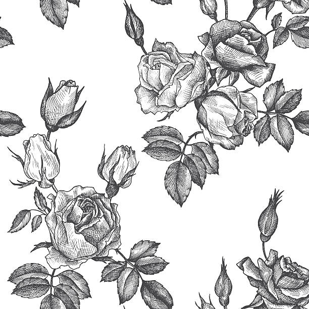 vintage vector floral seamless pattern vintage vector floral seamless pattern in victorian style with flowers, buds and leaves of roses, ink drawing, imitation of engraving, hand drawn background black and white rose stock illustrations