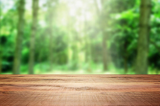 istock Wooden empty and blur nature background. 624711130