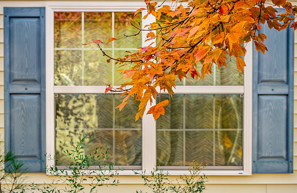 istock Autumn leaves in front of a window 624711914