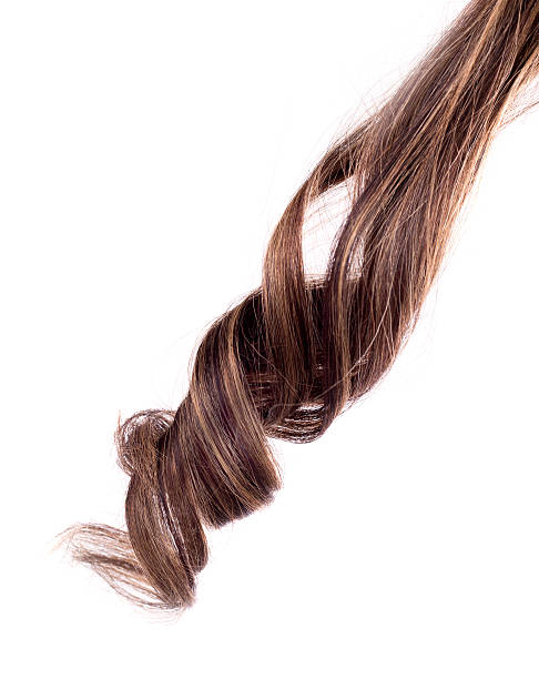 흰색 배경에 갈색 머리 - human hair curled up hair extension isolated 뉴스 사진 이미지