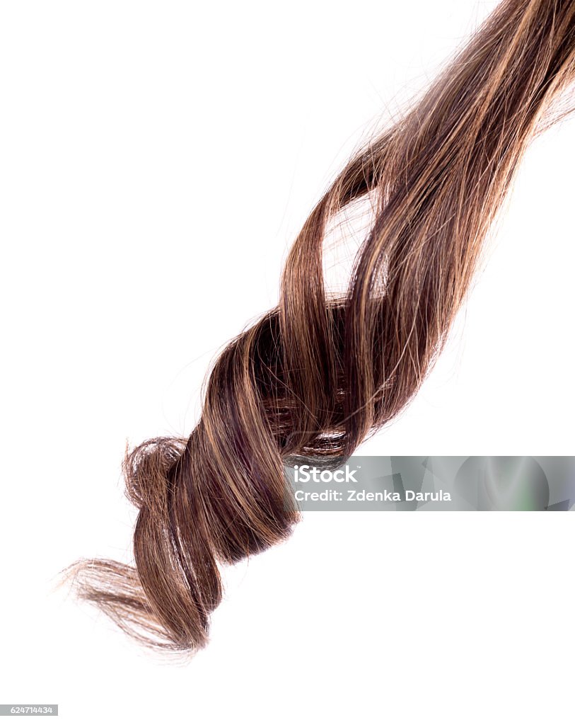 Brown Hair On White Background Stock Photo - Download Image Now - Highlights  - Hair, Human Hair, White Background - iStock