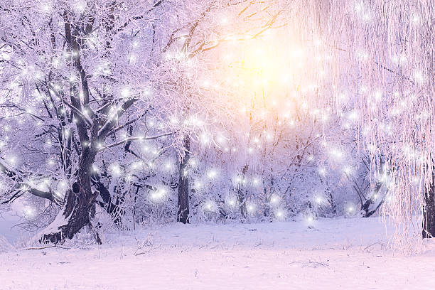 istock Rising sun shines on white snowflakes 624718426
