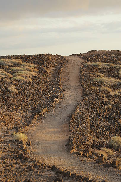 istock The path of life 624718462