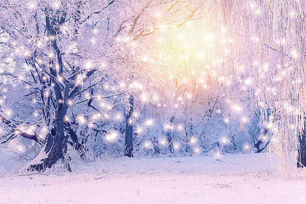 istock Christmas morning in park 624719034