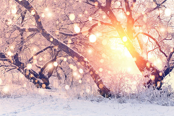istock Color snowflakes on snowy backgorund 624719348