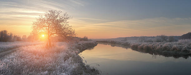 vista panoramica sull'alba invernale - brina acqua ghiacciata foto e immagini stock