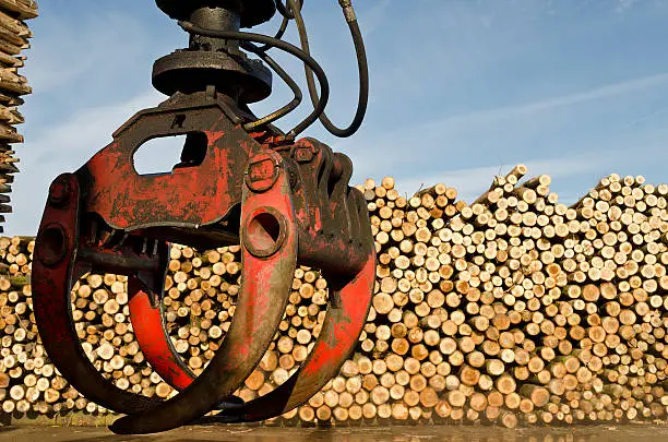 Photo of Heavy lifting crane loading cut wooden logs